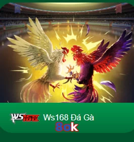 8ok